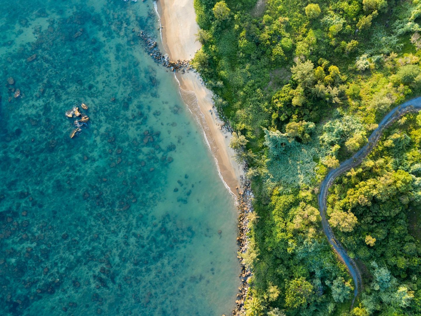 A bird’s-eye view of a shoreline where land meets water.