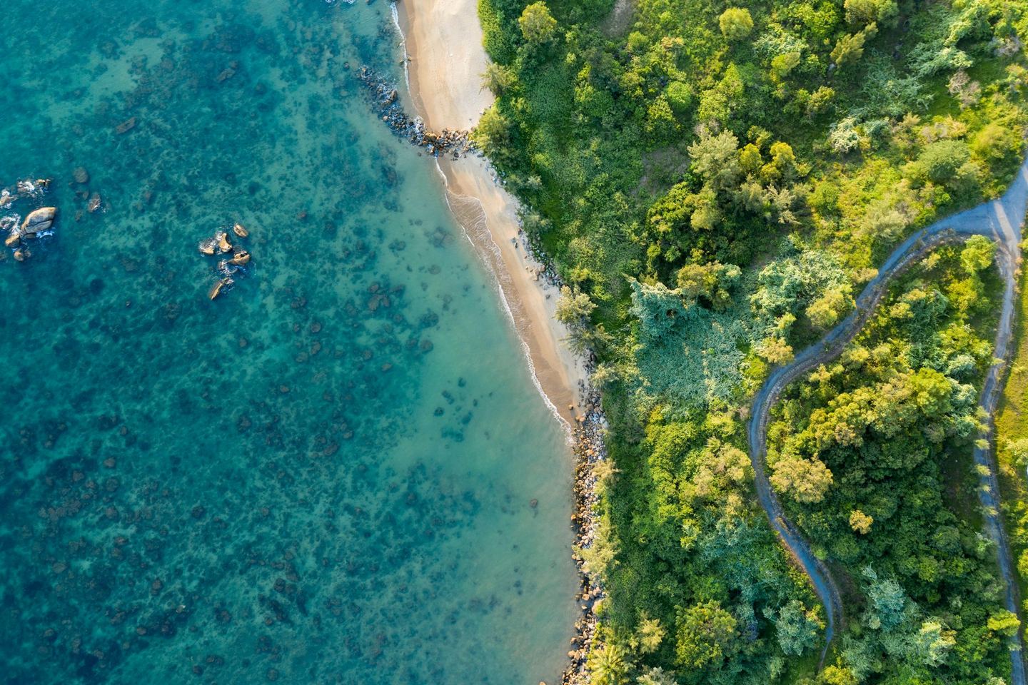 A bird’s-eye view of a shoreline where land meets water.