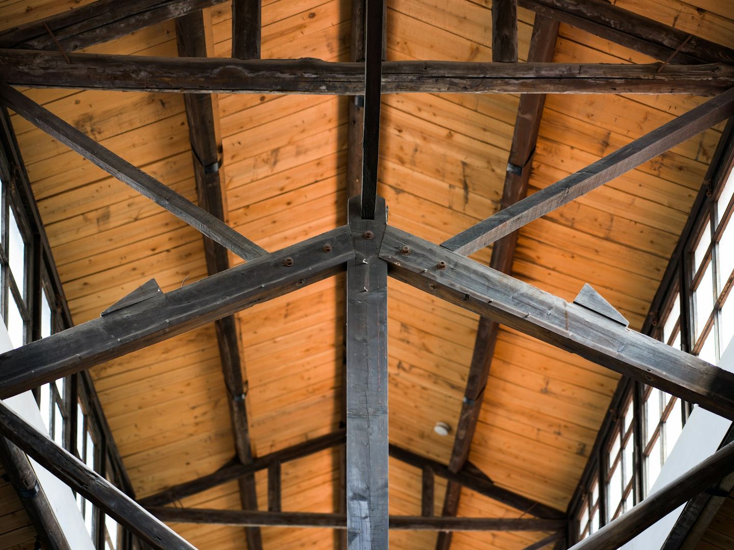 A roof of dark timber beams over warm boarded ceiling, windows either side.