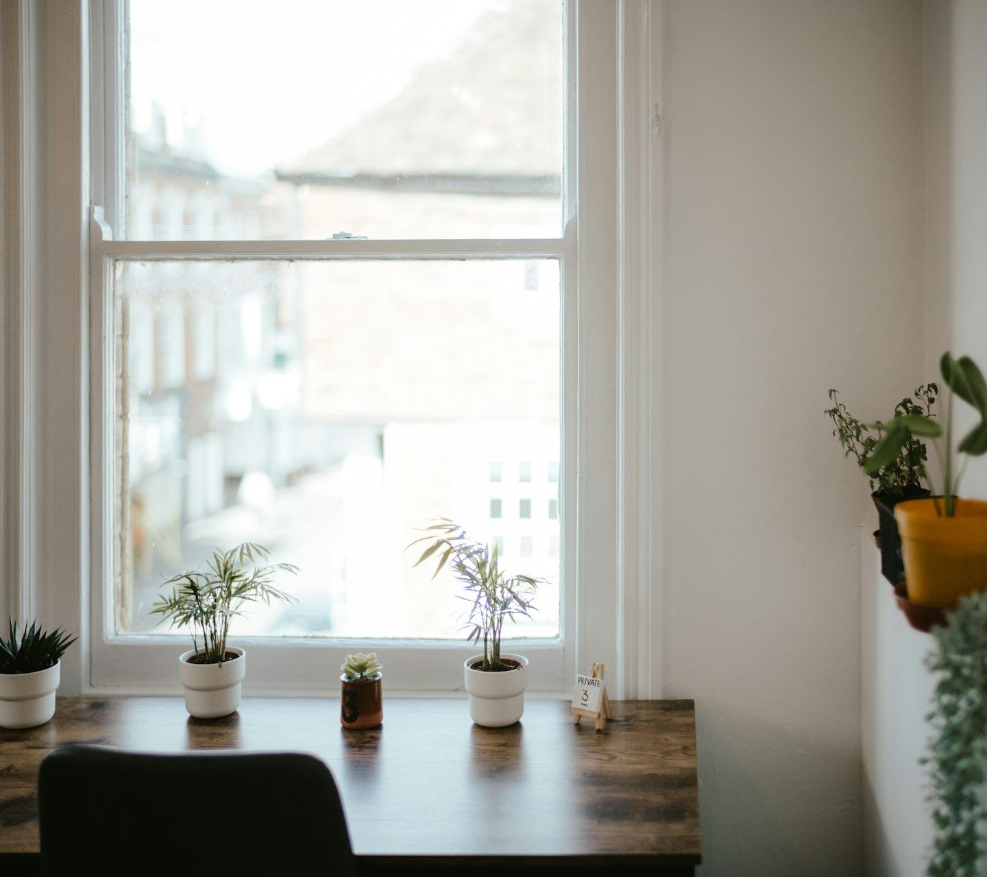A desk with small plants under a sash window, a chair before it.
