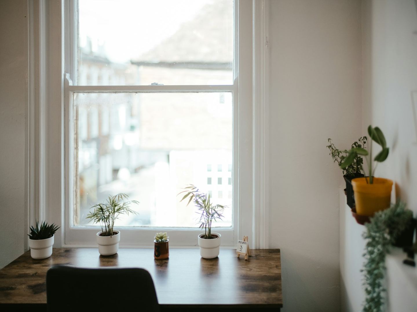 A desk with small plants under a sash window, a chair before it.