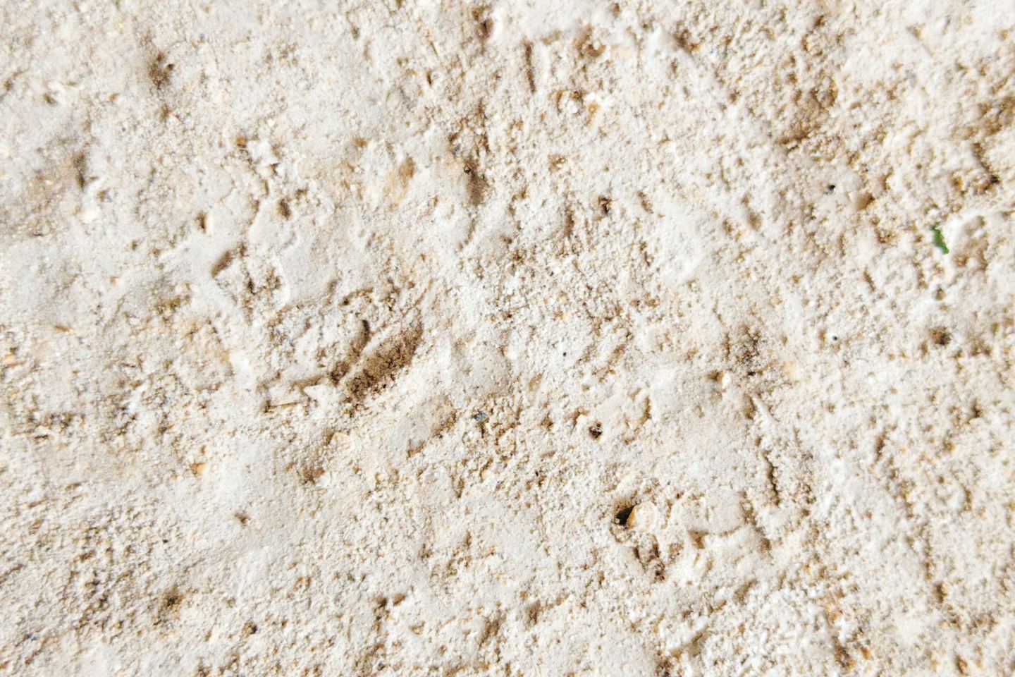 A rough, uneven beige plaster surface.