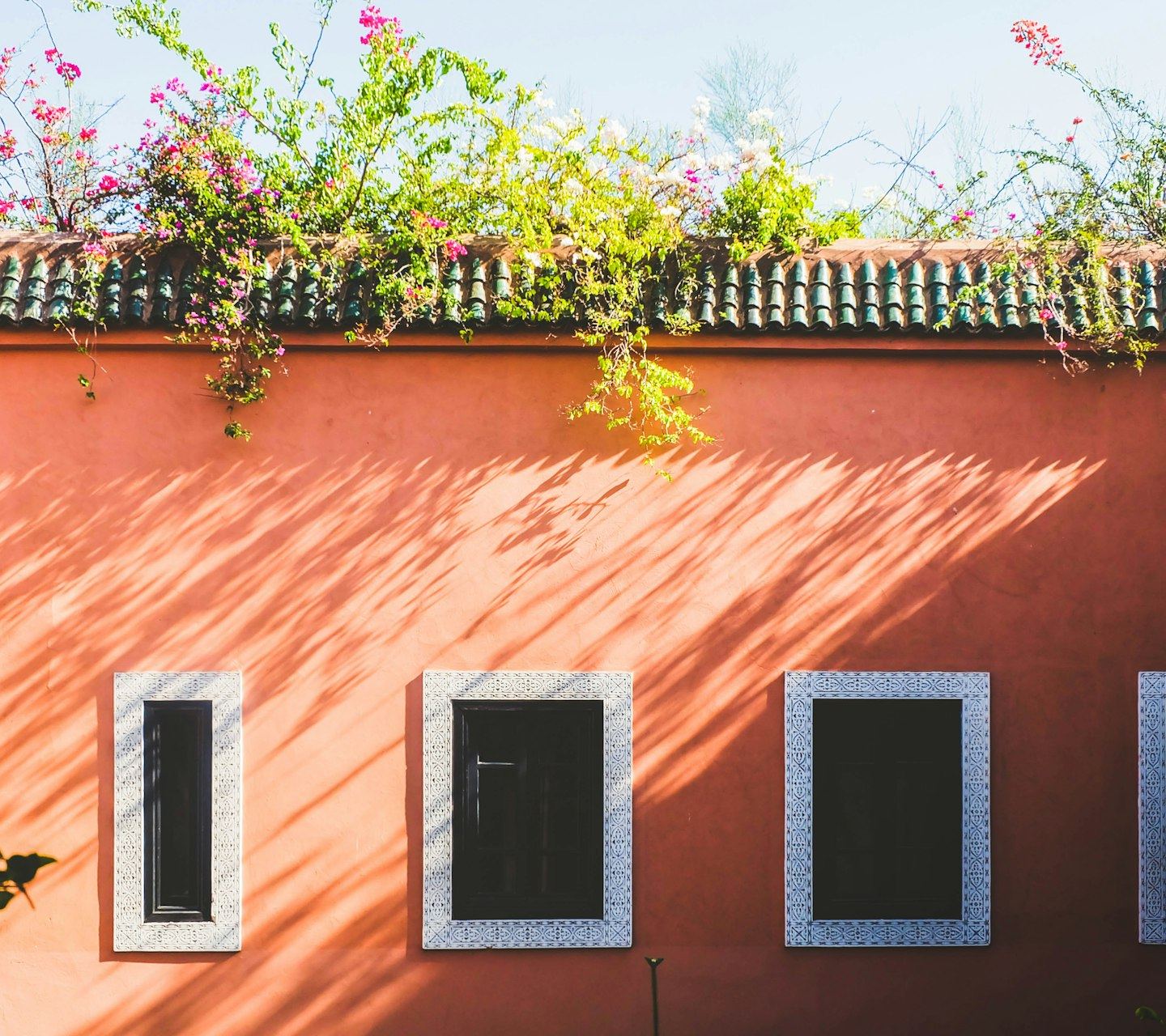 A coral-coloured wall with windows and dappled sunlight.