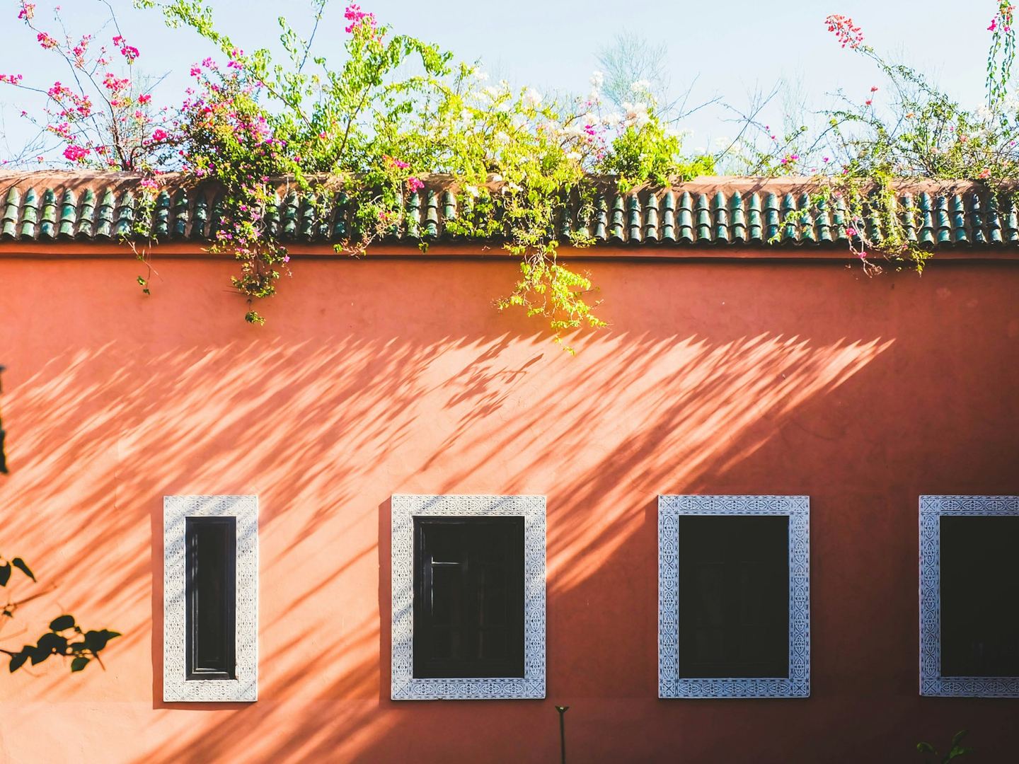 A coral-coloured wall with windows and dappled sunlight.