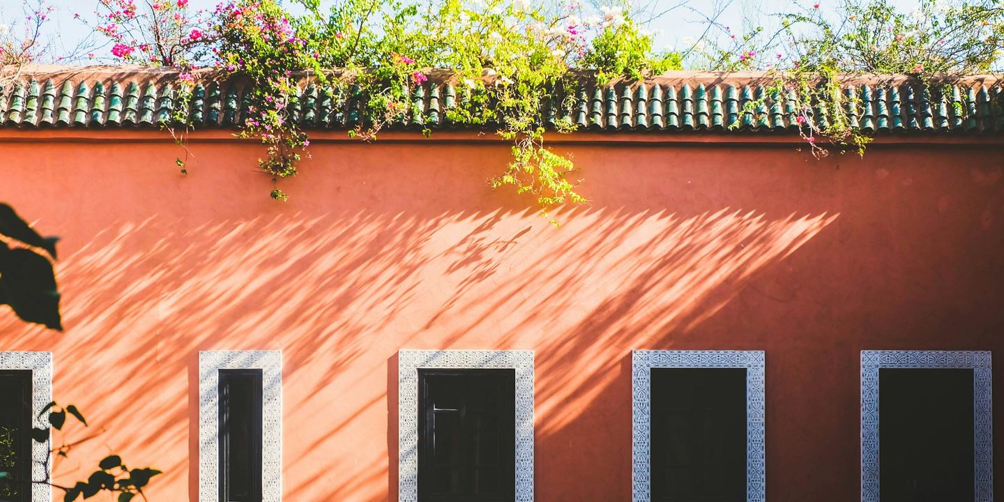 A coral-coloured wall with windows and dappled sunlight.