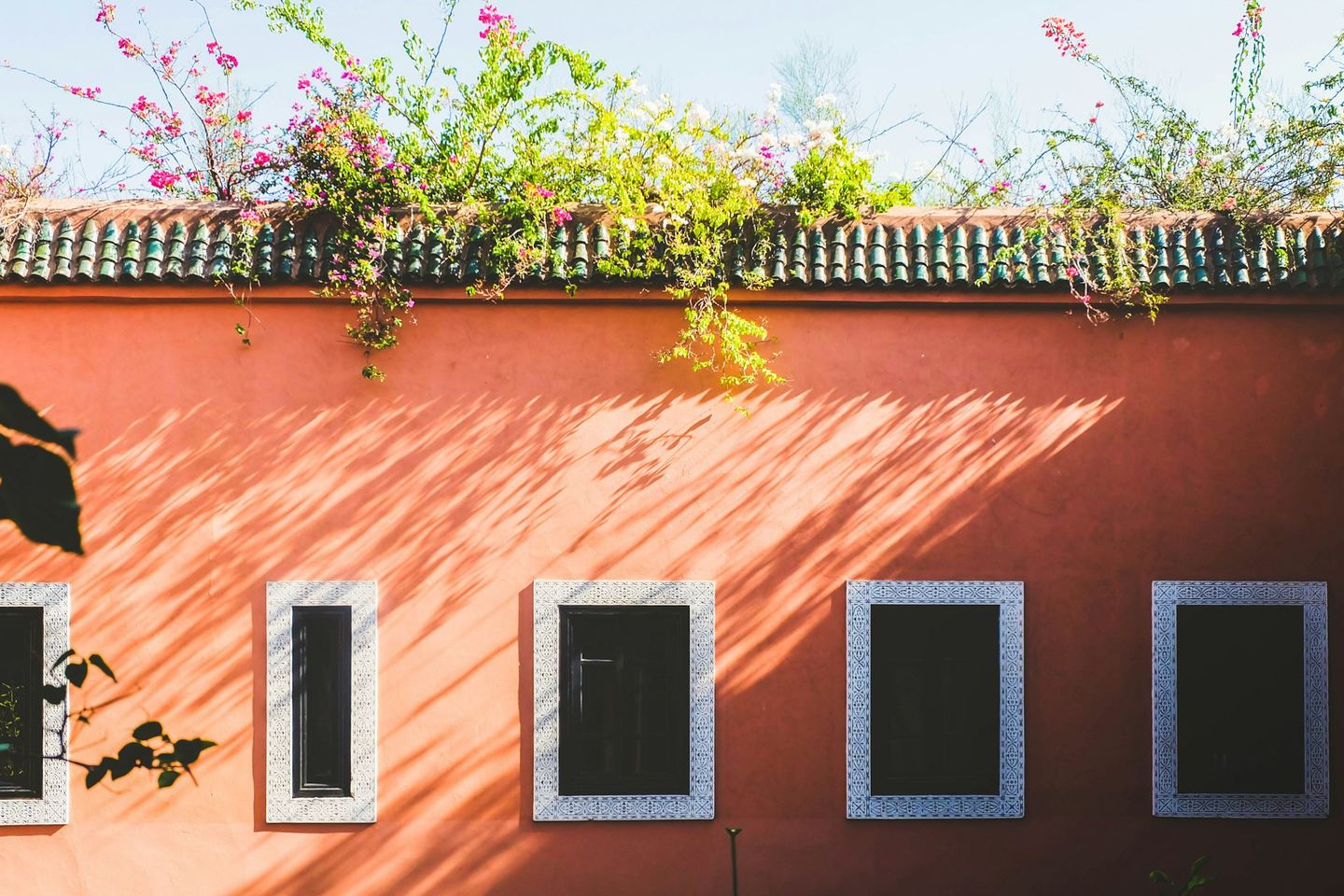 A coral-coloured wall with windows and dappled sunlight.