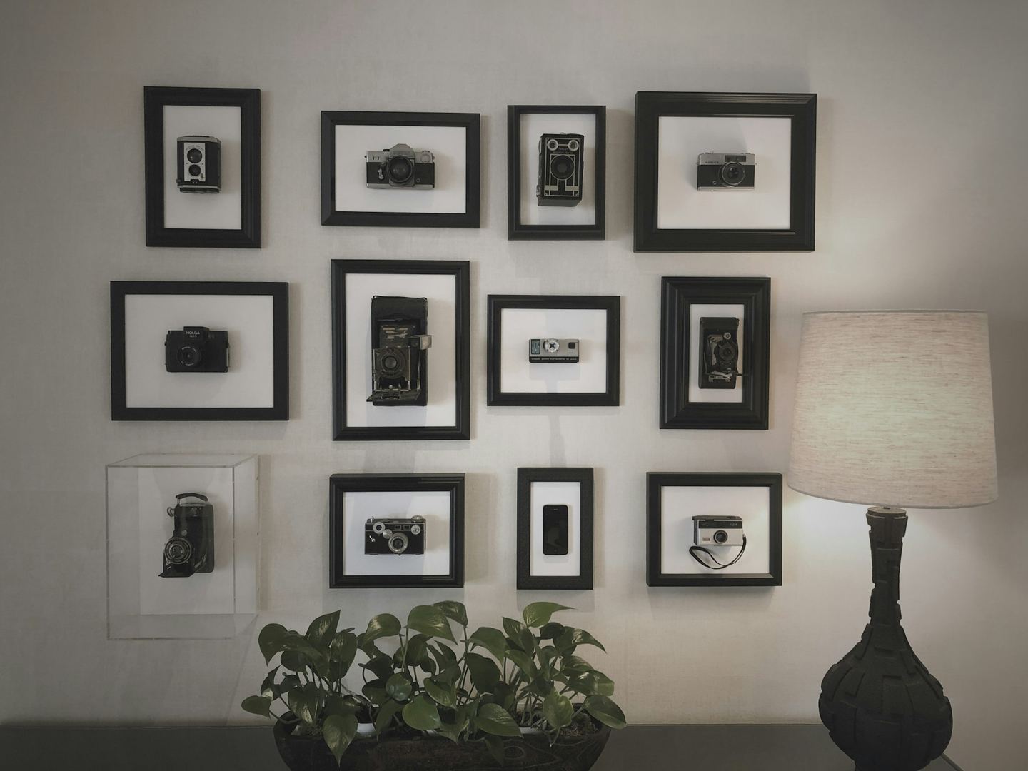 A wall of small framed pictures above a plant and a lamp.