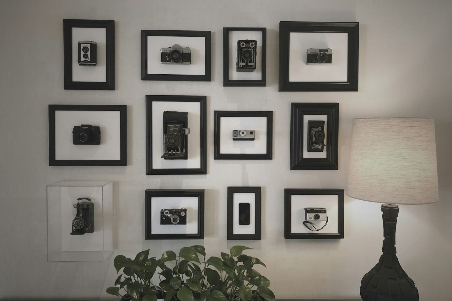 A wall of small framed pictures above a plant and a lamp.