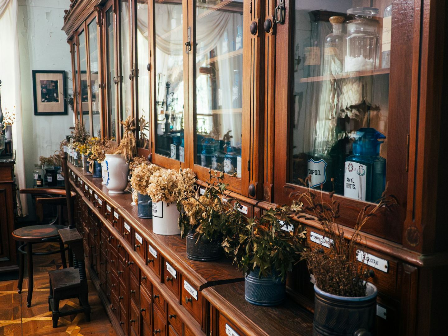 An old pharmacy’s wooden cabinet of labelled drawers and glass jars, with dried herbs on the counter.