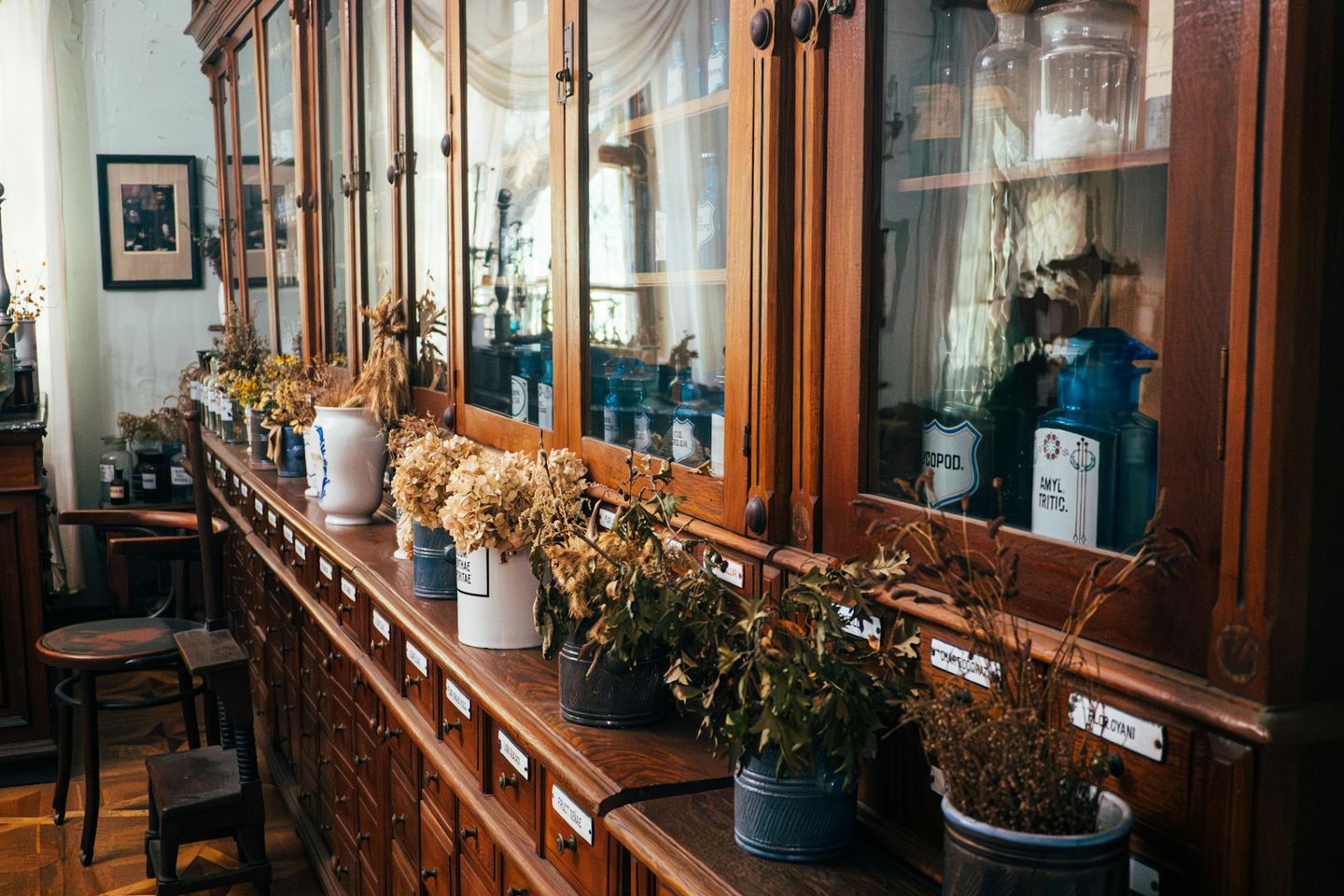 An old pharmacy’s wooden cabinet of labelled drawers and glass jars, with dried herbs on the counter.