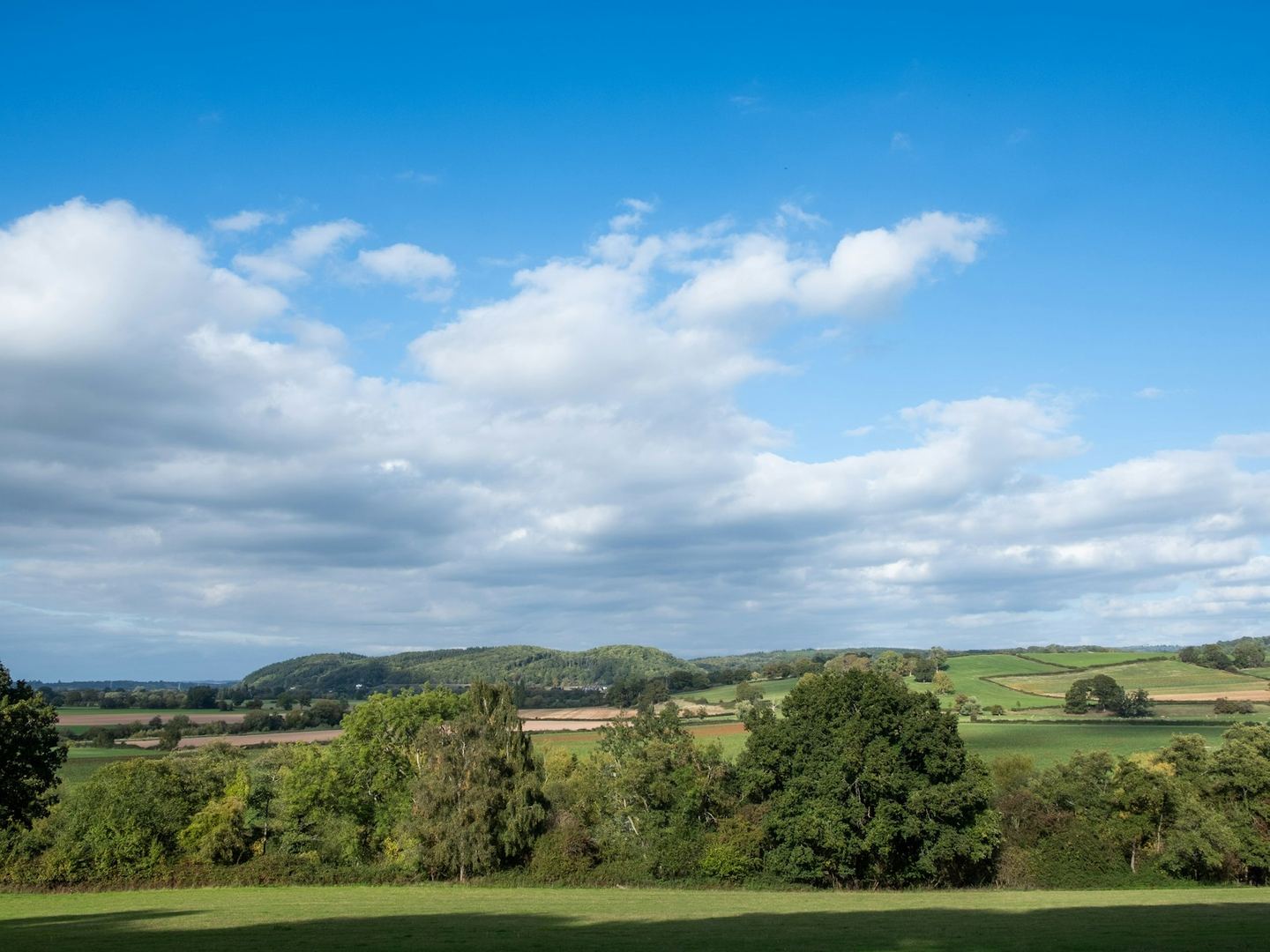 Green hills and hedged fields under a blue sky with white clouds.