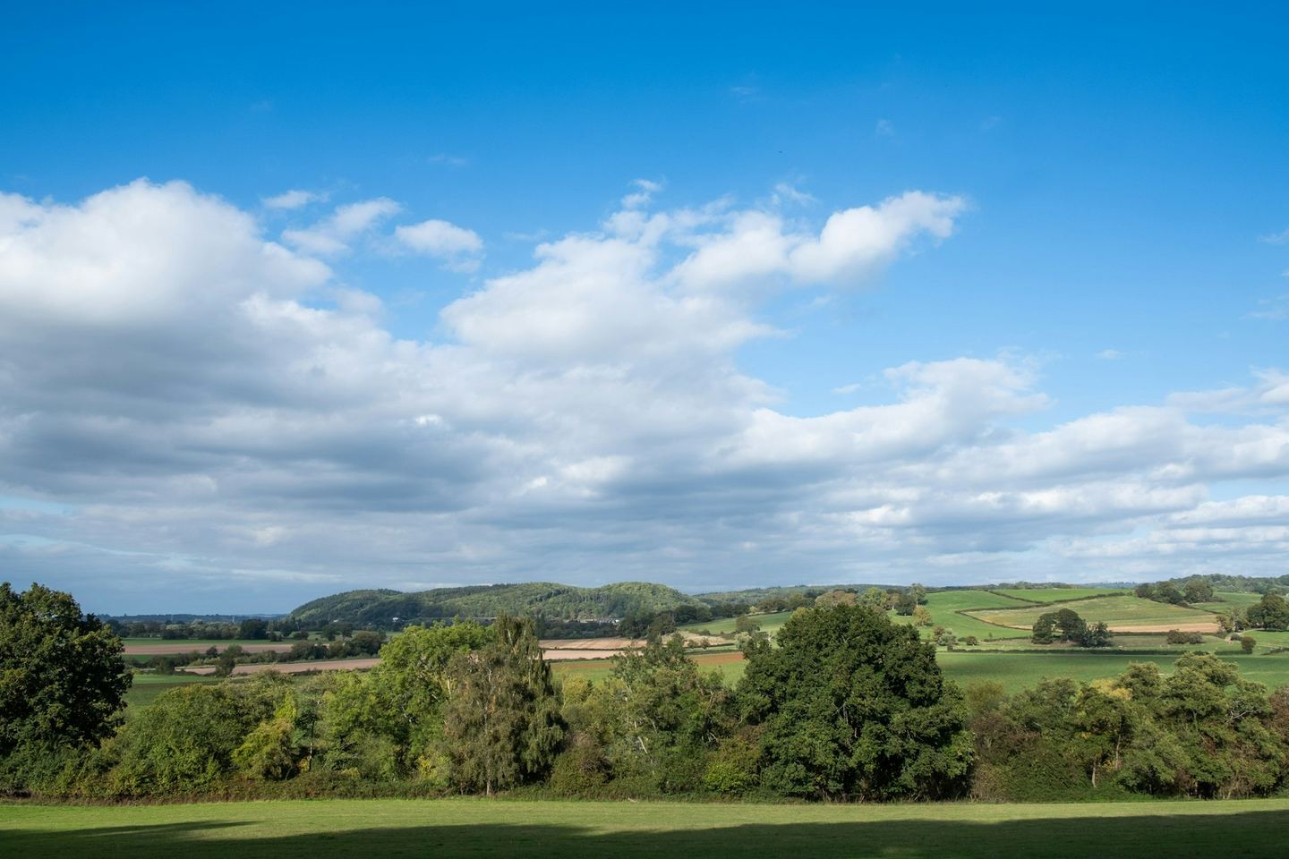 Green hills and hedged fields under a blue sky with white clouds.