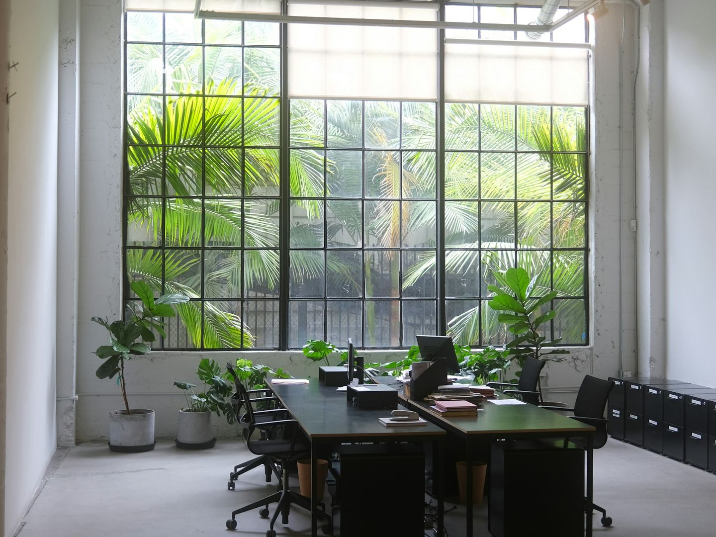 An office with desks under a tall window, plants along the glass.