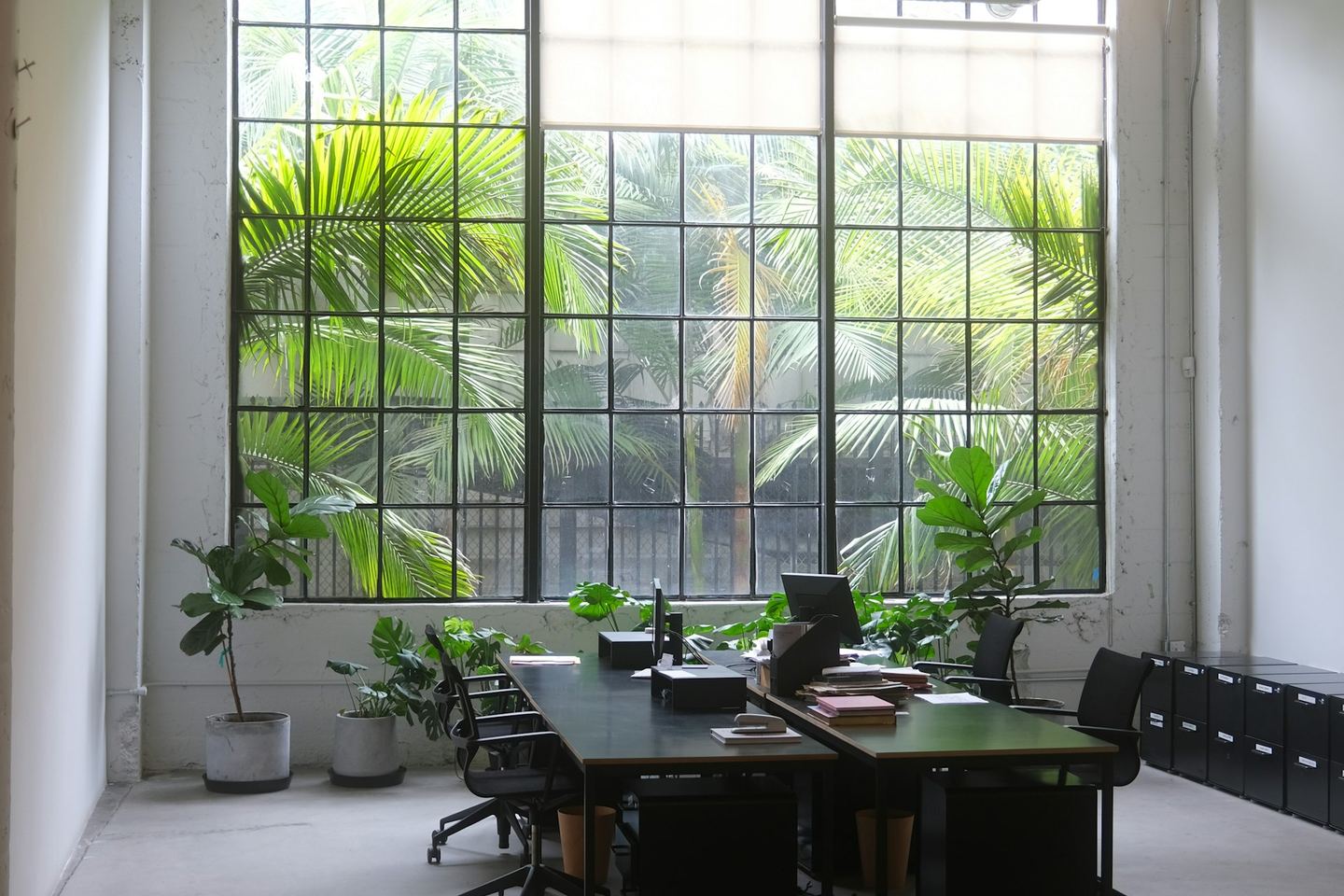 An office with desks under a tall window, plants along the glass.