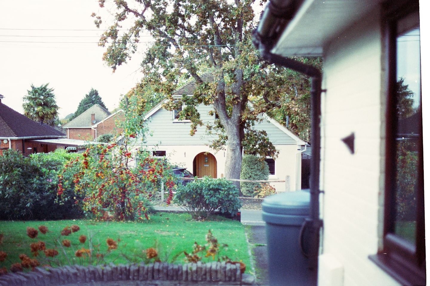 A suburban house with a front garden and a large tree, in daylight.