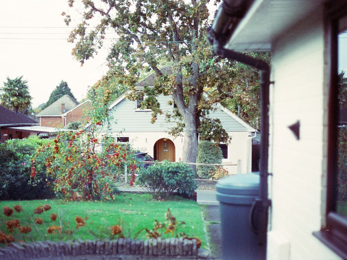 A suburban house with a front garden and a large tree, in daylight.