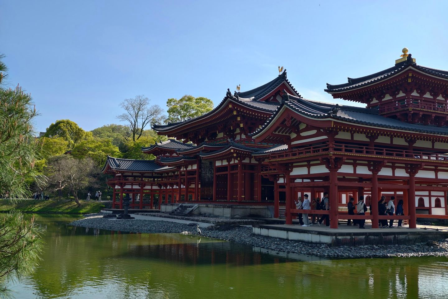 A red-pillared Japanese temple hall on the edge of a still green pond under a clear sky.