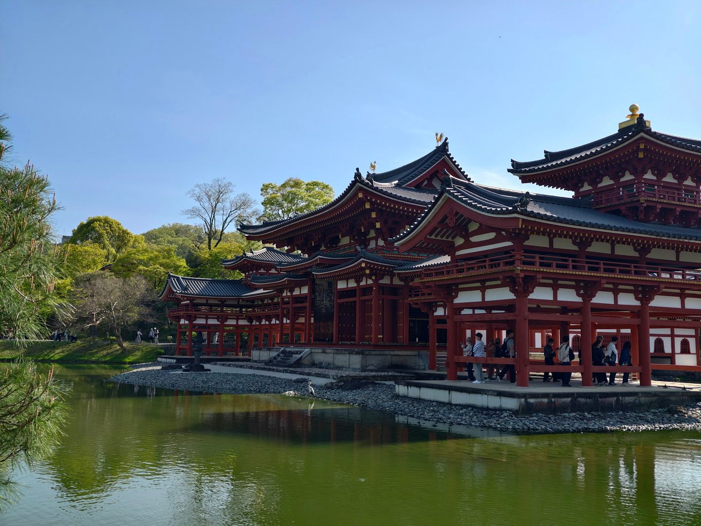 A red-pillared Japanese temple hall on the edge of a still green pond under a clear sky.