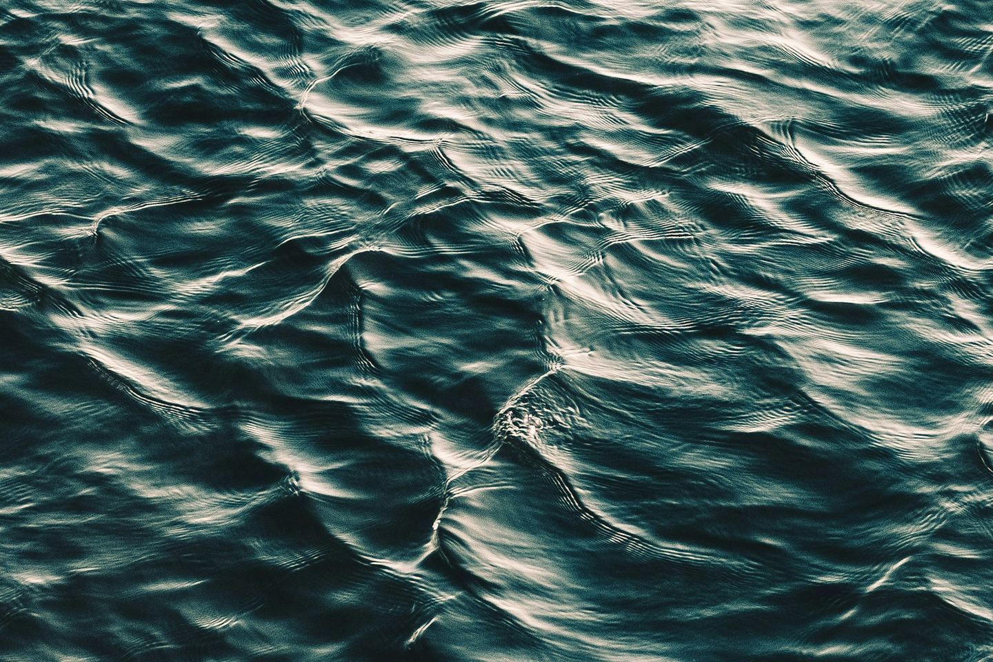 A rippling dark surface of water.