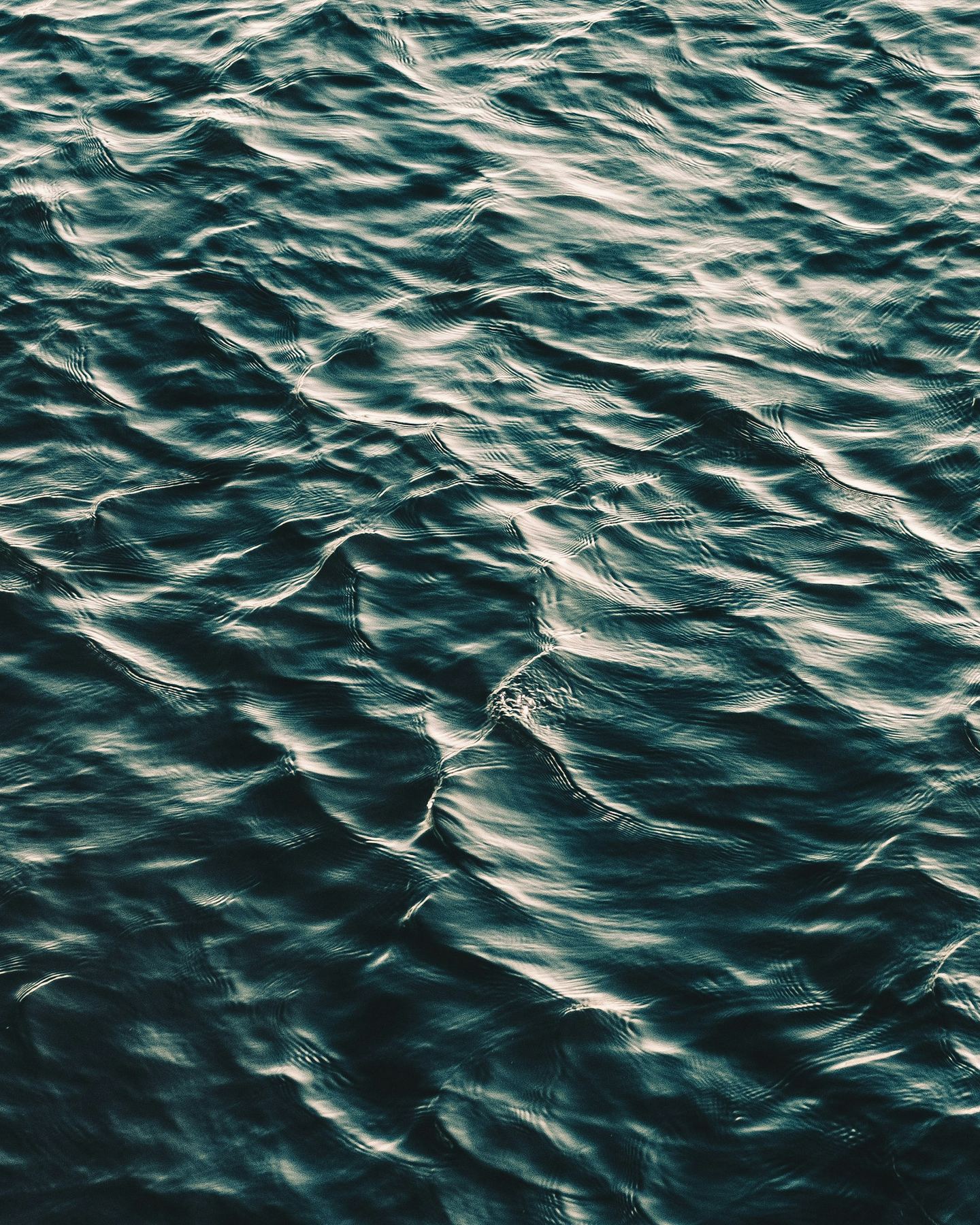 A rippling dark surface of water.