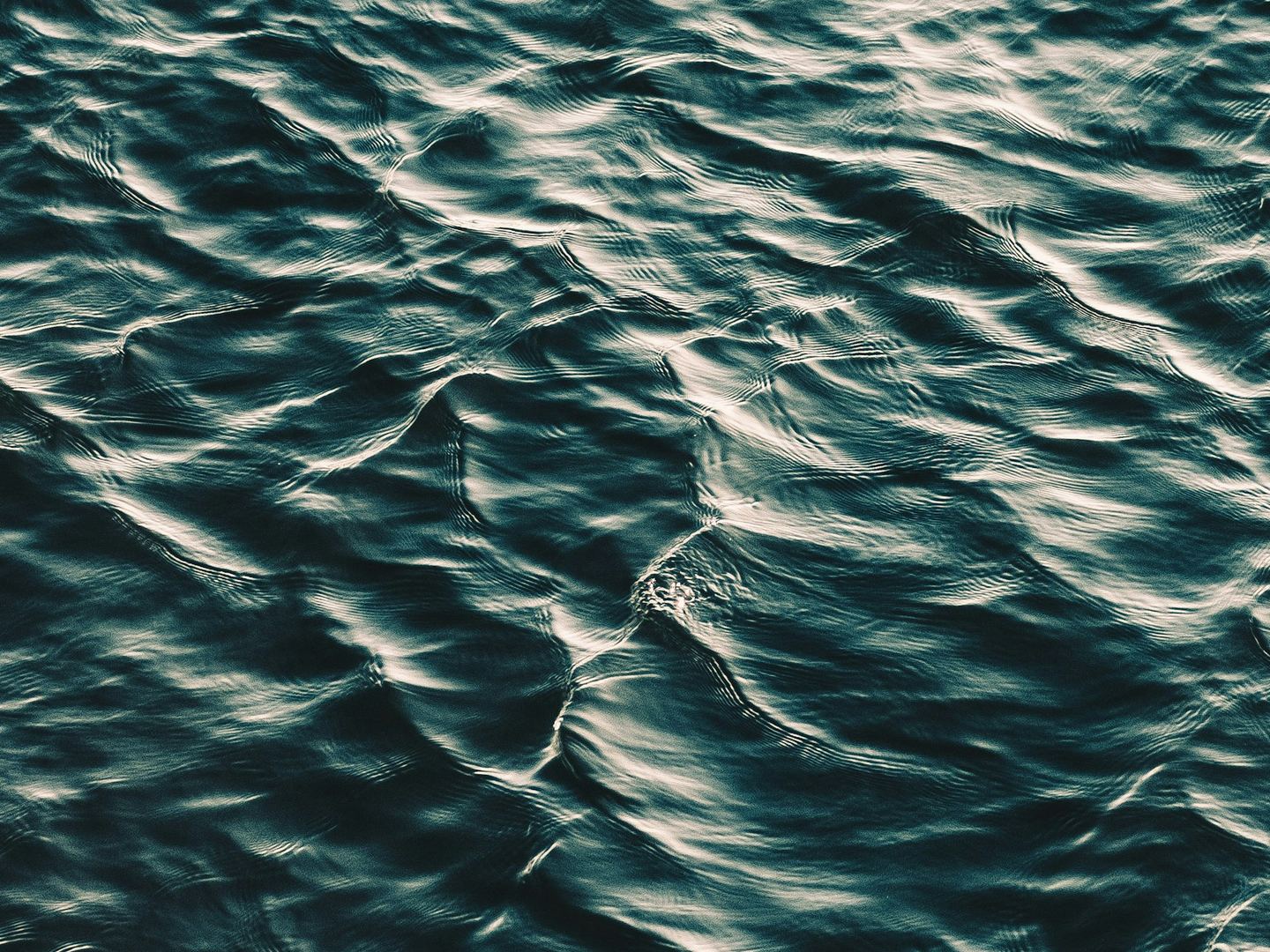 A rippling dark surface of water.