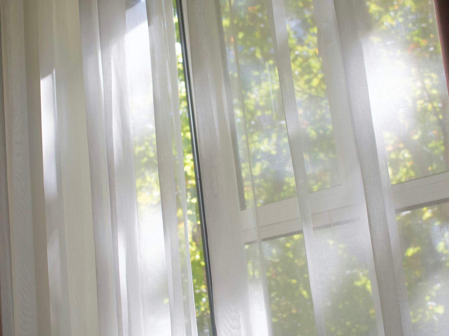 Sunlight through a sheer curtain at an open window, green trees beyond it.