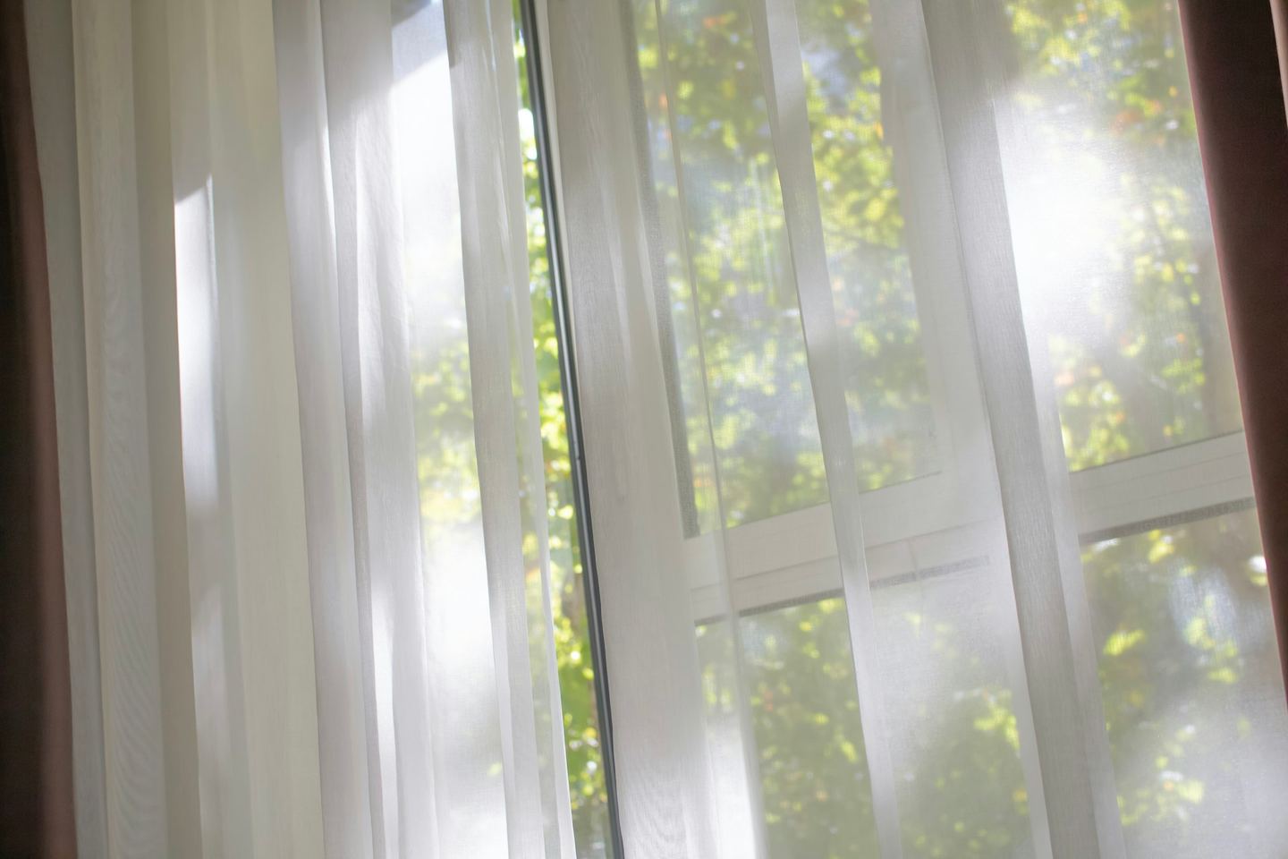 Sunlight through a sheer curtain at an open window, green trees beyond it.
